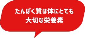 たんぱく質は体にとても大切な栄養素